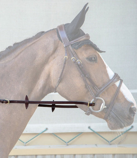 Dy'on Adjustable Reins