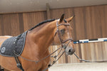 LJ Leathers Magic Longe Longeerbenodigdheden - Maddelin Equestrian LJ Leathers