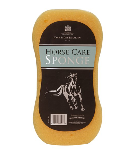 Carr&Day&Martin Spons Paard