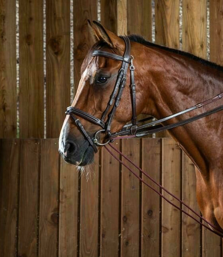 Dy'on Leather/Nylon Slof Teugels 5/8 (13mm) - Working