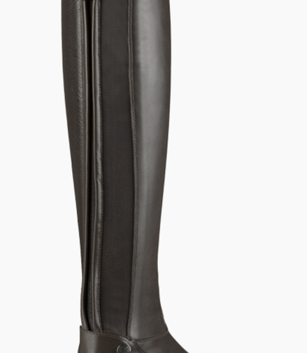 Parlanti Passion Aspen Pro