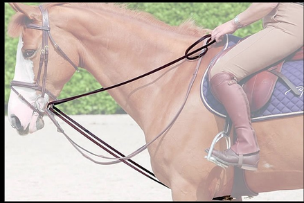 Dy'on Full Leather Draw Reins 1/2 - D Collection