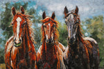 Thermobrass Metalen 3D Schilderij 3 Paarden | Maddelin Equestrian