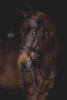 Utzon Grand Prix Hoofdstel Trenshoofdstellen - Maddelin Equestrian Utzon Equestrian
