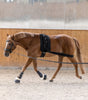 Waldhausen Body bandage Achterhand Activatie Longeerbenodigdheden - Maddelin Equestrian Waldhausen