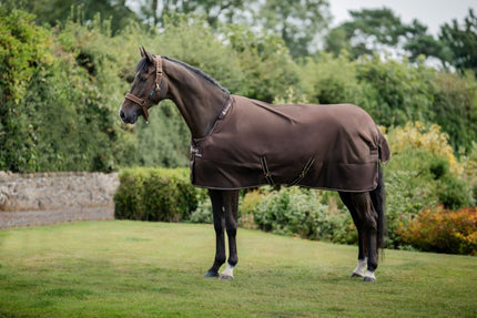 Bucas Irish Turnout outdoordeken in Espresso op een paard in de wei