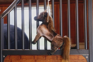 Speelgoed voor paarden