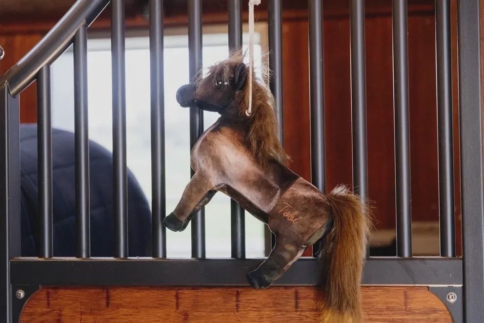 Speelgoed voor paarden