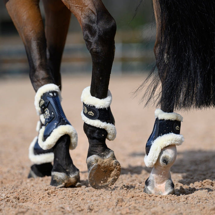 Beenbescherming - Maddelin Equestrian