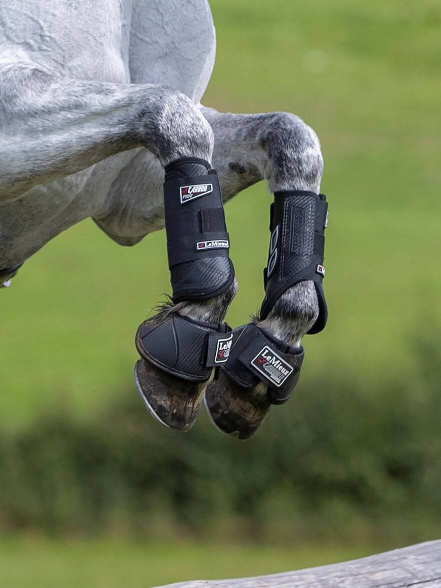 Beenbescherming - Maddelin Equestrian