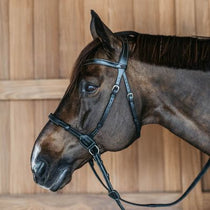 Bitloos - Maddelin Equestrian