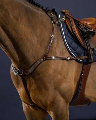 Borstriemen & martingalen - Maddelin Equestrian