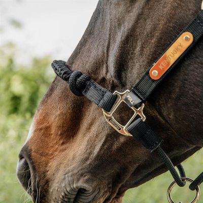 Controle halster - Maddelin Equestrian