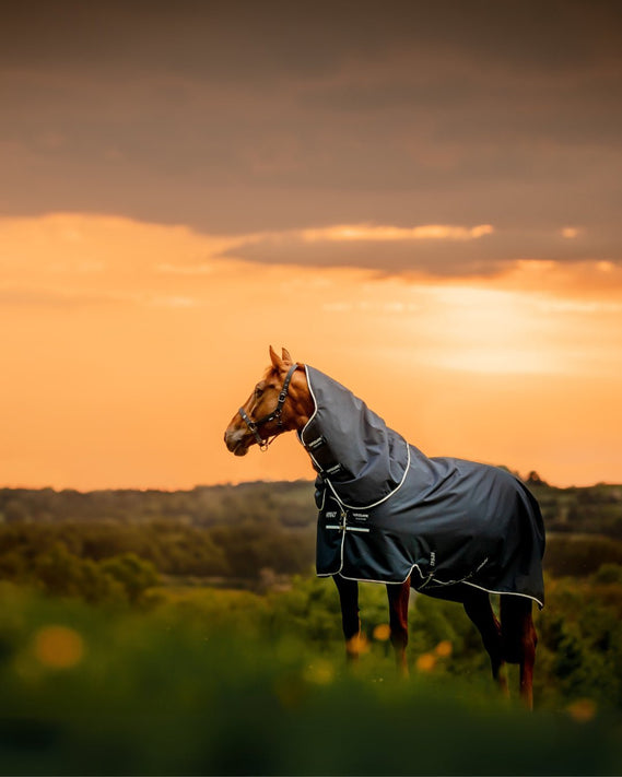 Dekens - Maddelin Equestrian