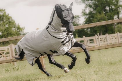 Dekens - Maddelin Equestrian