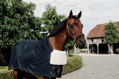 Dekentoebehoren - Maddelin Equestrian