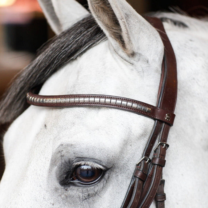 Frontriemen - Maddelin Equestrian