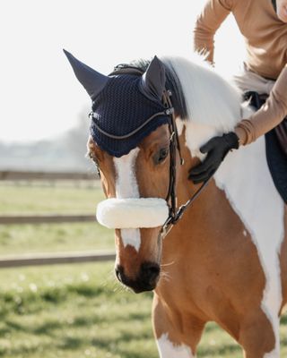 Halster accessoires - Maddelin Equestrian