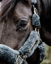 Halsters & toebehoren - Maddelin Equestrian