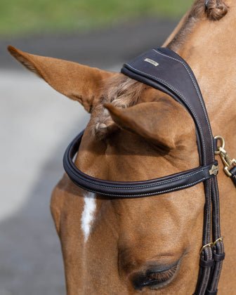 Hoofdstellen - Maddelin Equestrian