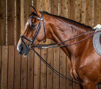 Hulpteugels - Maddelin Equestrian