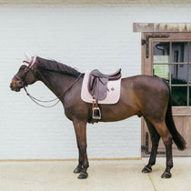 Paard - Maddelin Equestrian