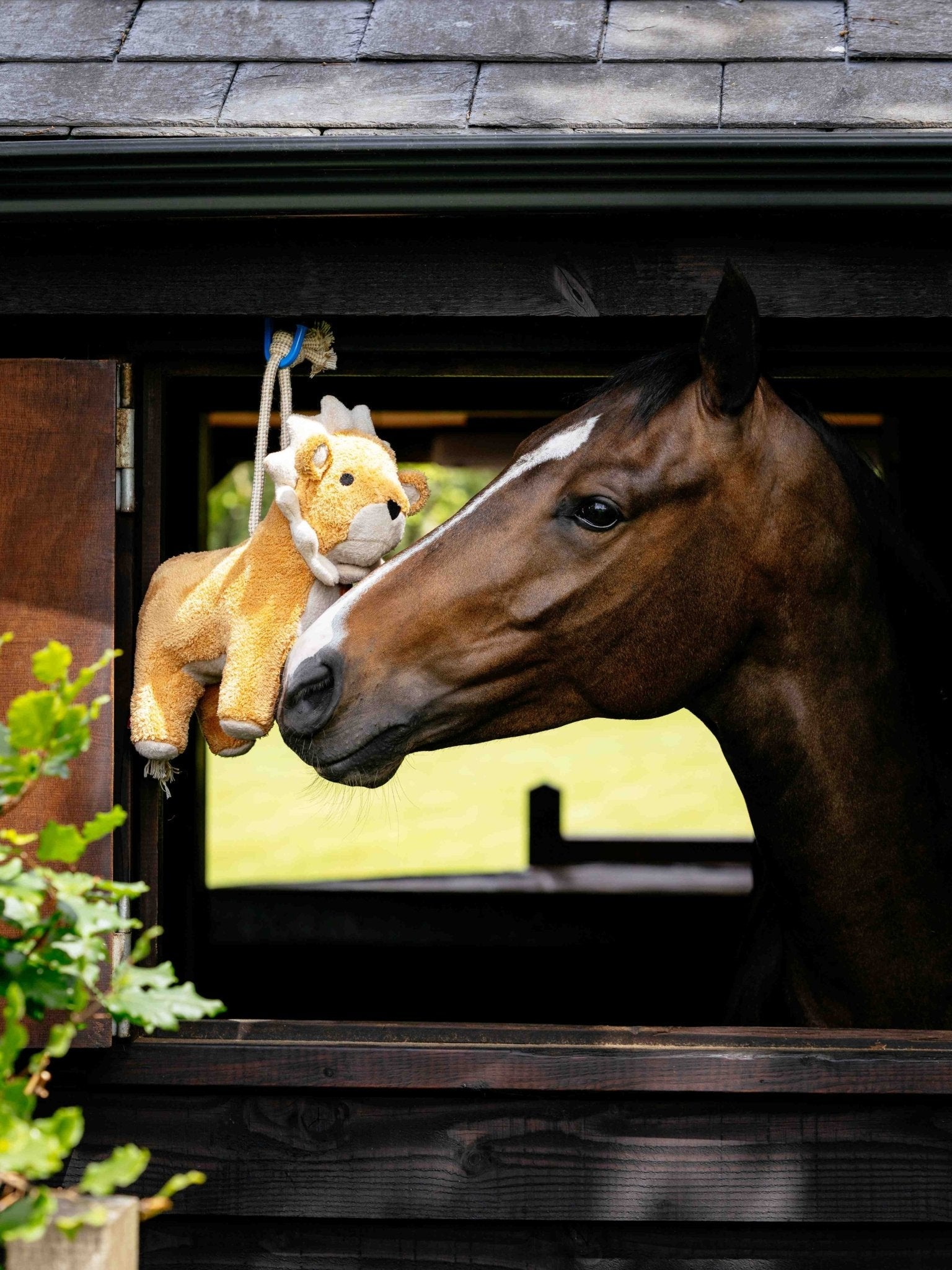 Paardenspeelgoed - Maddelin Equestrian