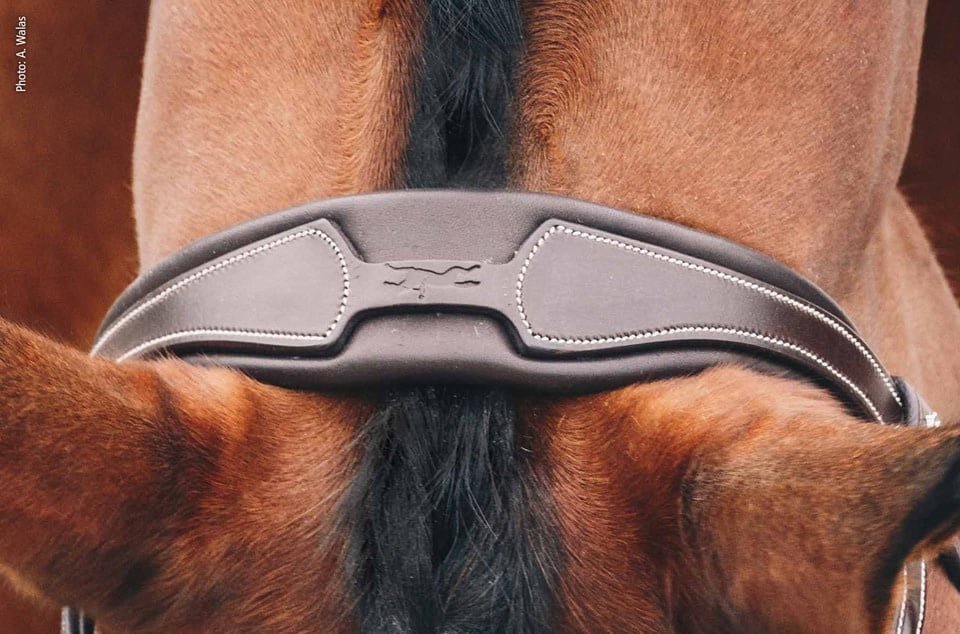 Schockemöhle Head Piece Select Toebehoren hoofdstellen - Maddelin Equestrian Schockemohle