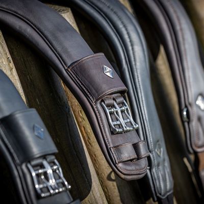 Singels - Maddelin Equestrian