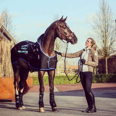 Therapeutisch - Maddelin Equestrian