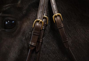 Toebehoren hoofdstellen - Maddelin Equestrian