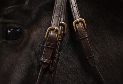 Toebehoren hoofdstellen - Maddelin Equestrian