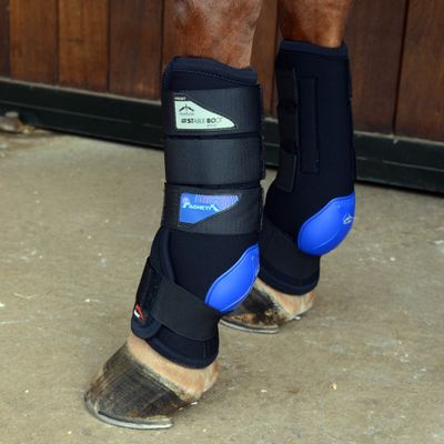 Transport, therapeutisch & stalbeschermers - Maddelin Equestrian