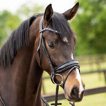 Trens - Maddelin Equestrian