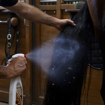 Verzorging - Maddelin Equestrian