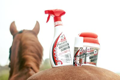 Vliegen & eczeem - Maddelin Equestrian