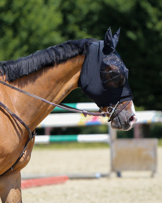 Vliegenmaskers & lintjes - Maddelin Equestrian