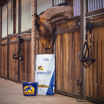 Voeding - Maddelin Equestrian