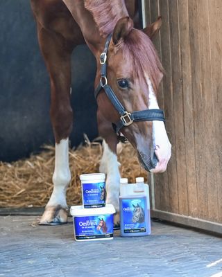 Voedingssupplementen - Maddelin Equestrian