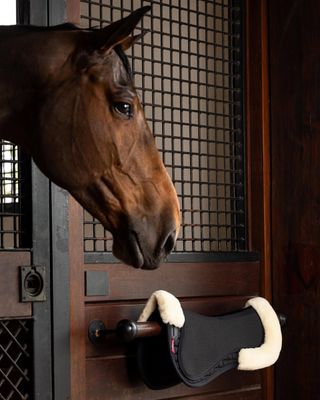 Zadelonderleggers - Maddelin Equestrian