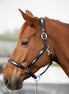 HFI Polo Halter