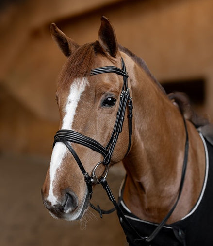 Têtière rembourrée HFI