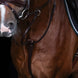 HFI Martingaal Asti