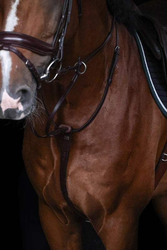 HFI Martingaal Asti