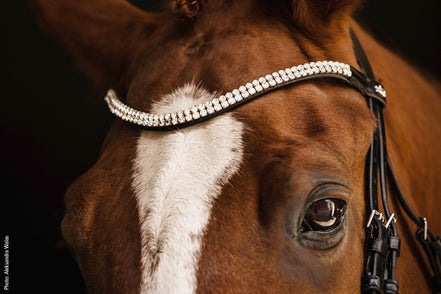 Schockemöhle Headstall SP Isabell Werth Johnny