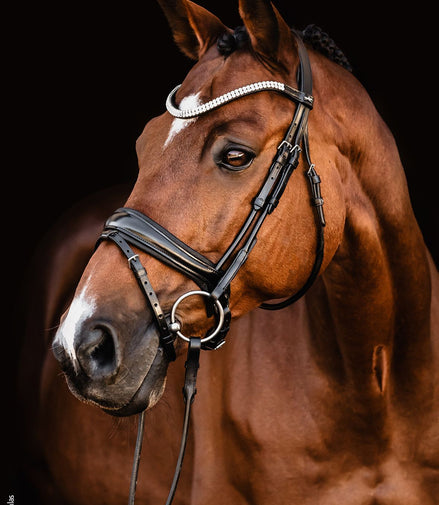 Schockemöhle Headstall SP Isabell Werth Johnny