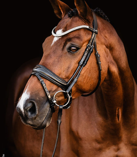 Schockemöhle Headstall SP Isabell Werth Johnny