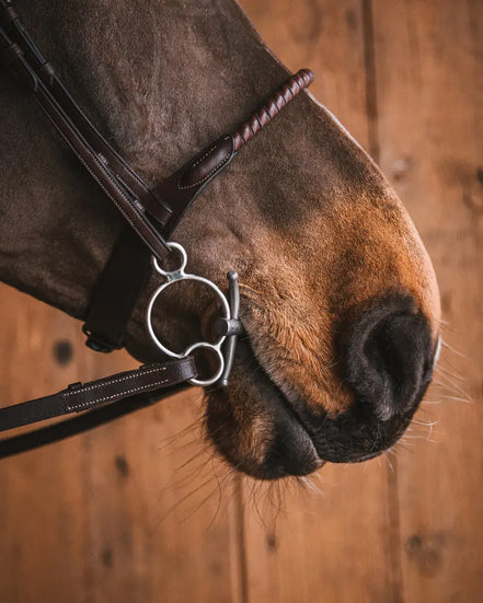 Embout universel en titane Fager Carl