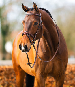 BR bridle Sunderland