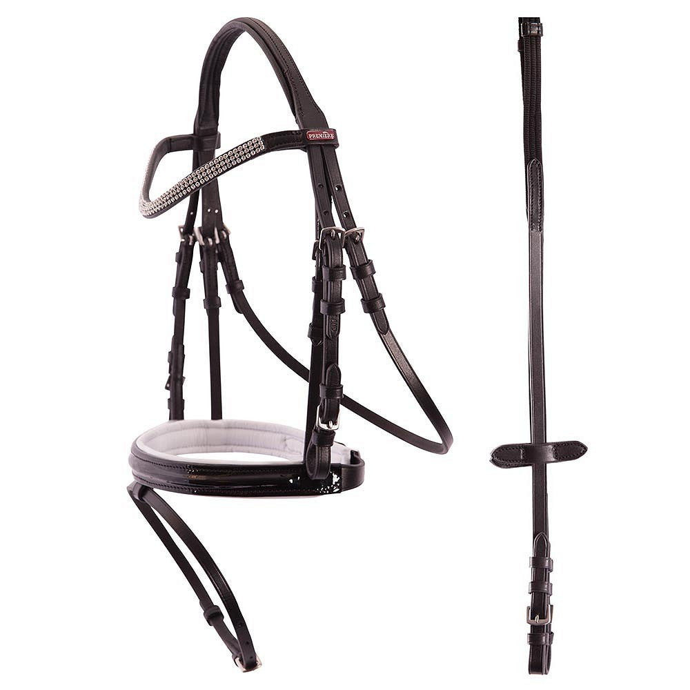 Premiere Hoofdstel Ajaccio